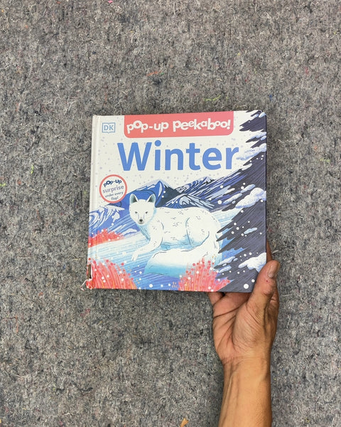 DK Pop-Up Peekaboo! Winter Book