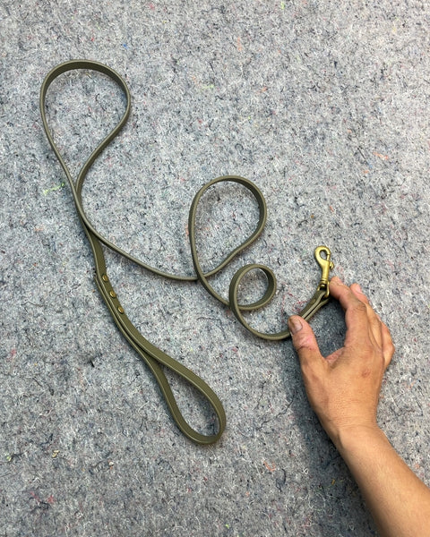 Chic Dog Leash