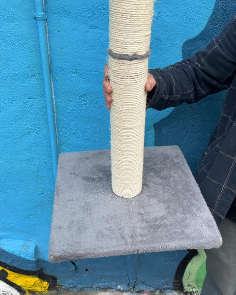 Cat Scratching Post with Platform