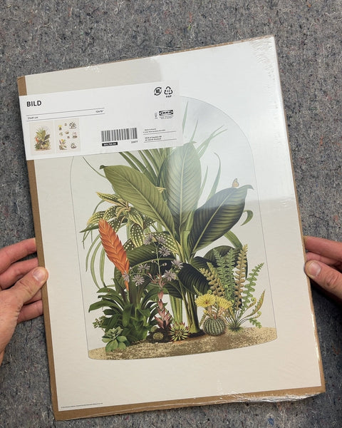 Two IKEA BILD Botanical Prints, 12x16"