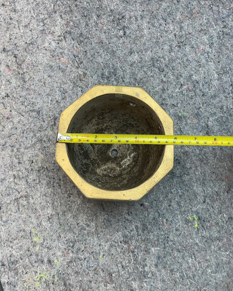 Hex Concrete Planter