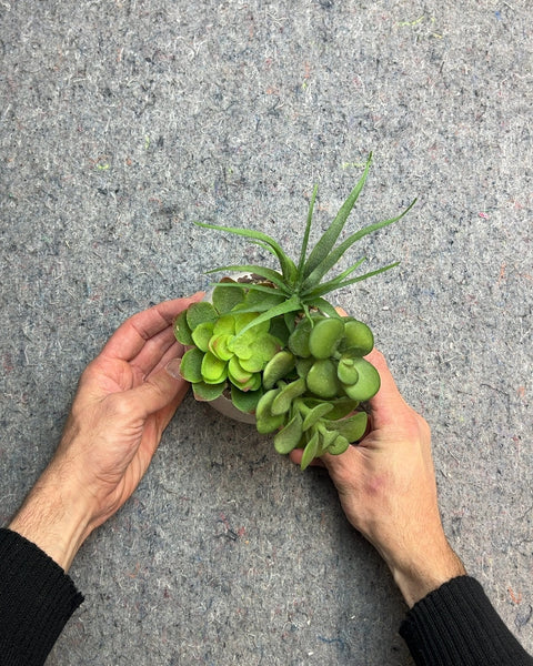 Faux Succulent Arrangement in Ceramic Pot