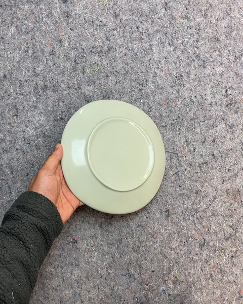 Crate & Barrell Light Green Ceramic Plate
