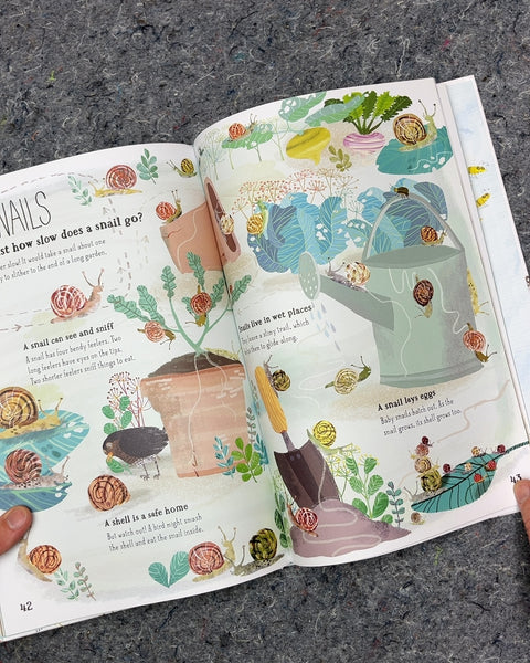 The Big Book of Bugs by Yuval Zommer