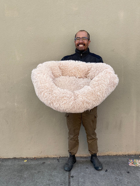 Therapy Dog Bed