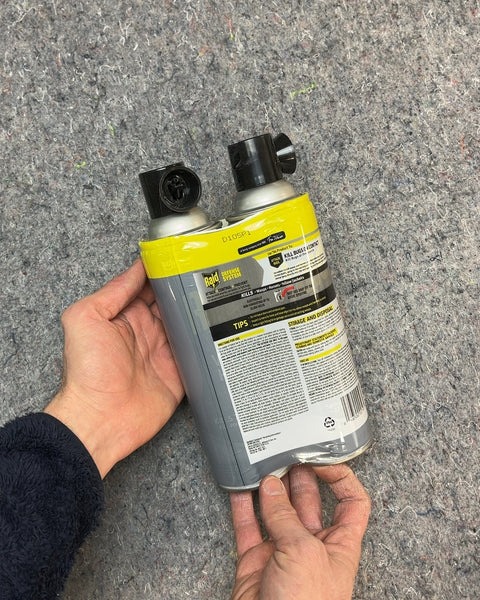 Raid Wasp & Hornet Killer, 2-Pack