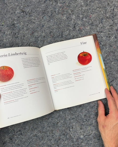 Apples of North America by Tom Burford