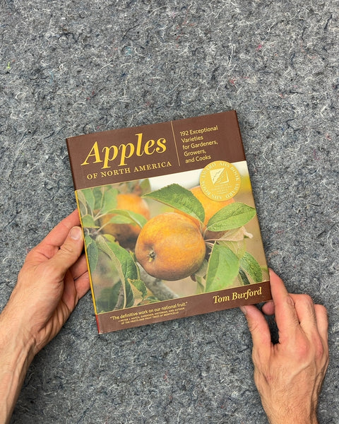 Apples of North America by Tom Burford