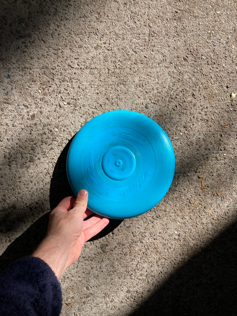 Just A Blue Frisbee For You Or Your Dog