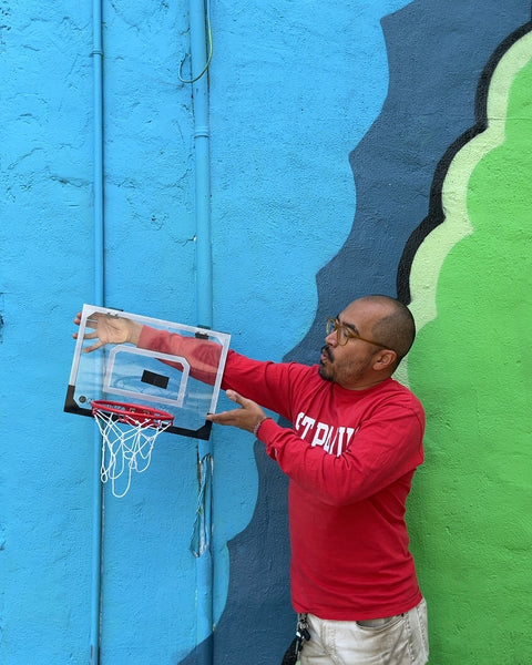 Mini Basketball Hoop with Net