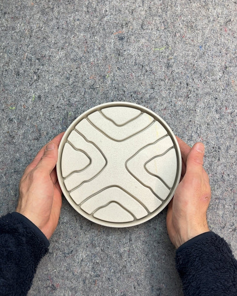 Slow Feeder Dog Bowl