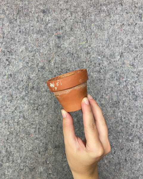 Terracotta Clay Planter Pot, 2.5in