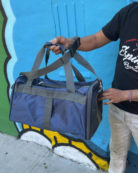 Petco Pet Travel Carrier