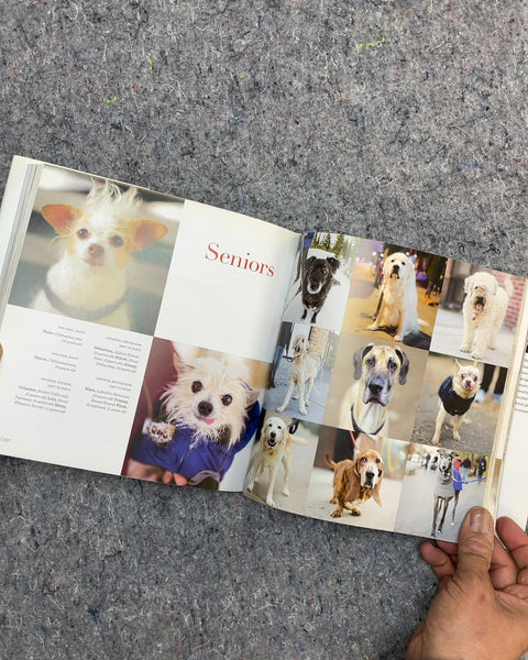 The Dogist by Elias Weiss Friedman