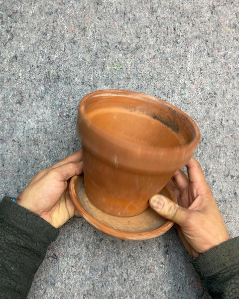 Terracotta Clay Pot with Saucer