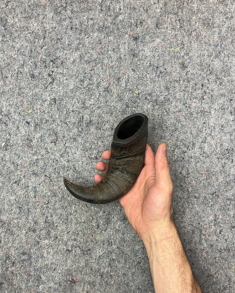 Buffalo Horn!