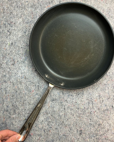 Serious All-Clad Fry Pan, 10 in