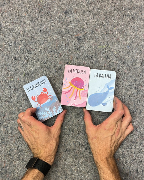 Italian Sea Animals Board Books Set