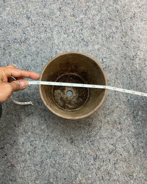 Small Earthen Planter, 6"
