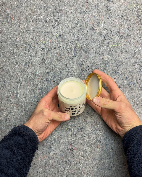 Light Me When The Cat Farts Scented Candle