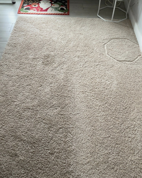 Neutral Area Rug, 100x60”