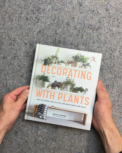 Decorating with Plants by Baylor Chapman
