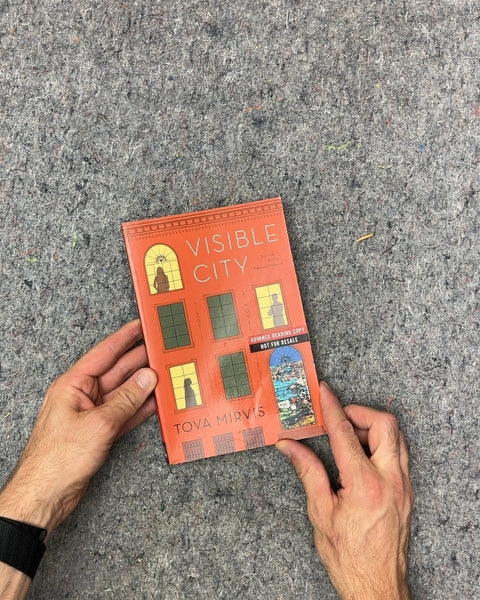 Visible City by Tova Mirvis