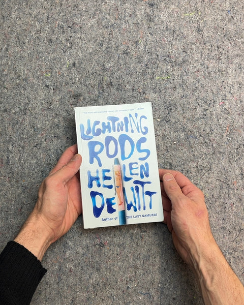 Lightning Rods by Helen DeWitt