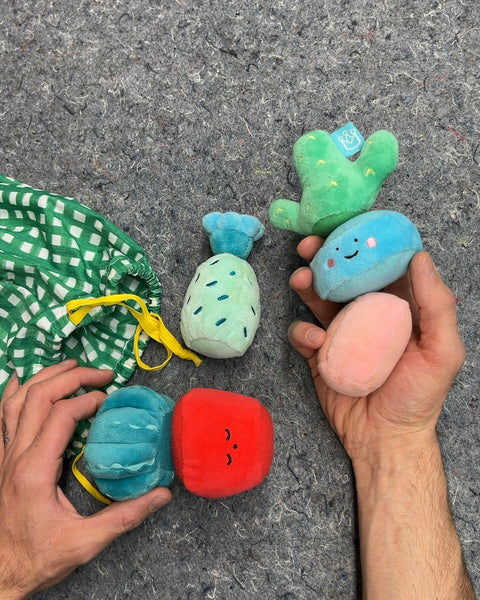 Manhattan Toy Cactus Garden Mix & Match Magnetic Plush
