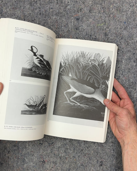 John James Audubon The Birds of America by Christina Houston