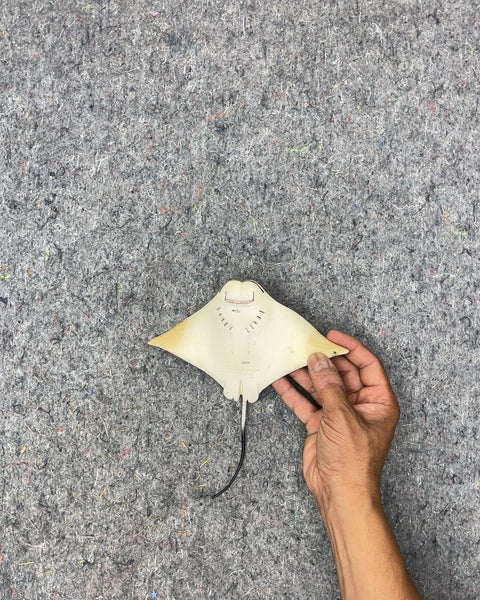 Stingray Figurine