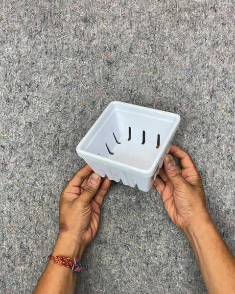 Sexy Ceramic Berry Basket, 5x3"