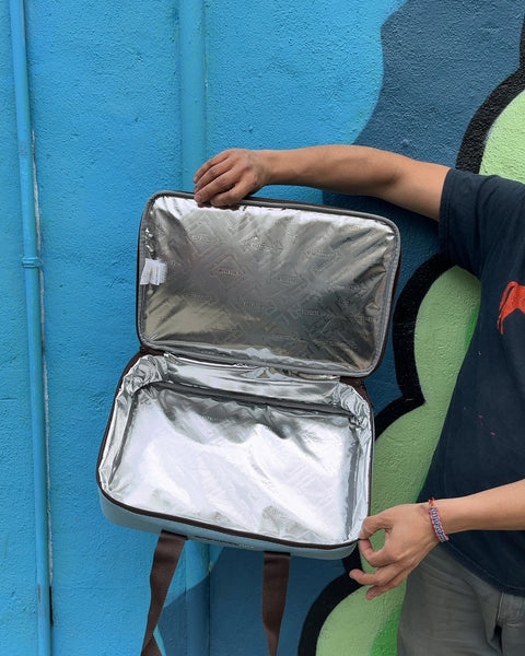Ray Lasagna Lugger Insulated Casserole Carrier