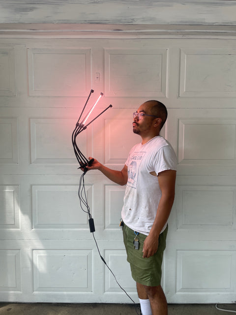 Plant Lights