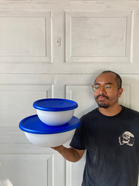 2 Sterilite Bowls
