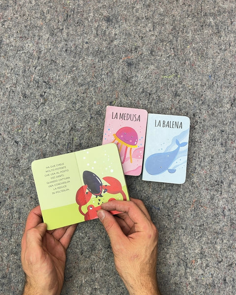 Italian Sea Animals Board Books Set