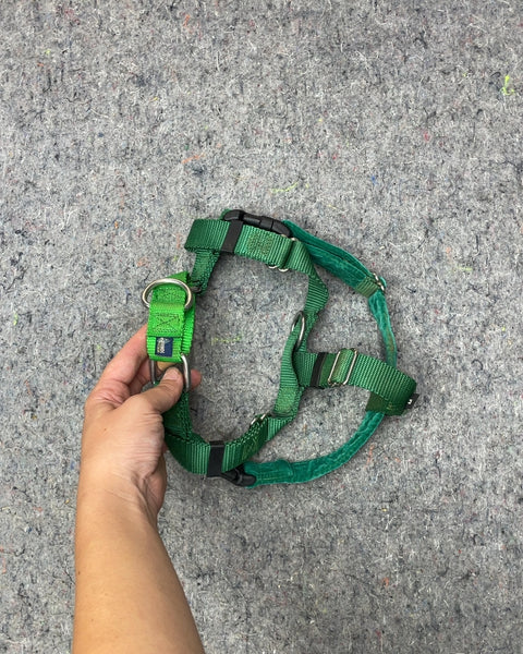 Green Pet Harness