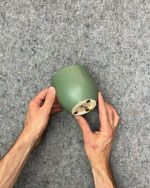 The Sill Green Ceramic Planter, W4"