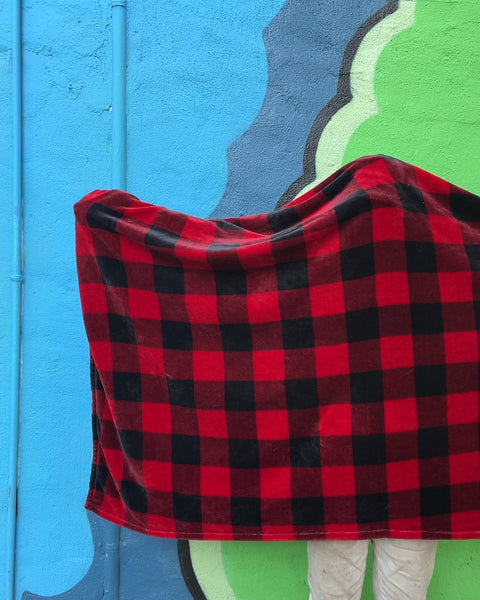 Red and Black Buffalo Plaid Fleece Blanket For A Movie Night In The Park