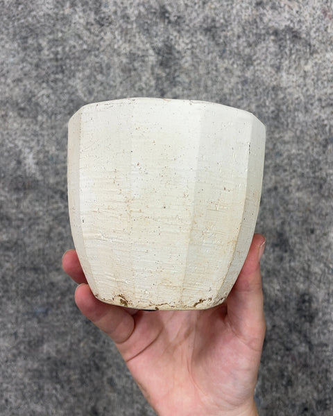 Rustic Texture White Ceramic Planter Pot, 4 in