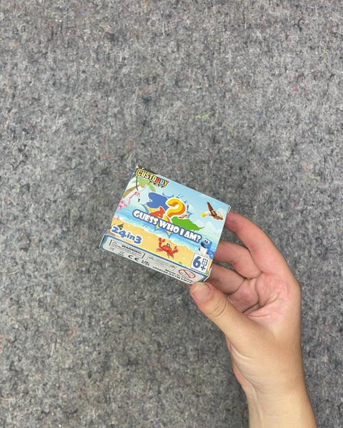 Guess Who I Am 2-in-1 Card Game
