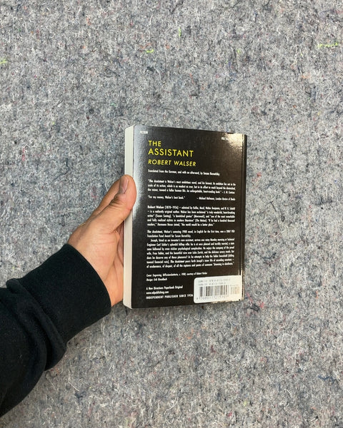 The Assistant by Robert Walser