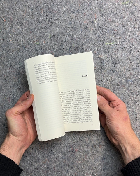 Karate Chop Stories by Dorthe Nors