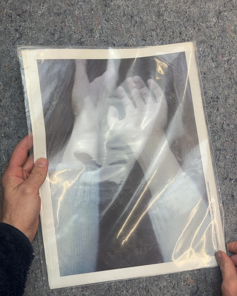 A24 Issue 03 Redwoods Zine