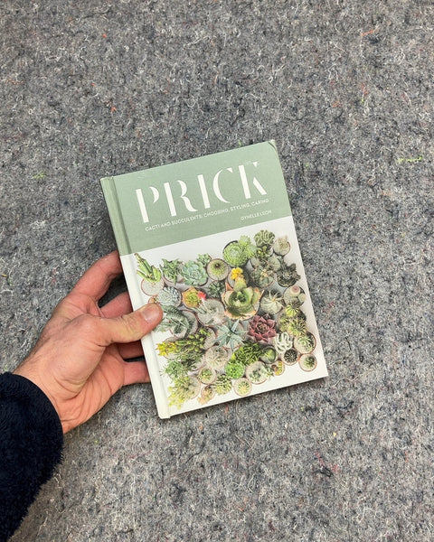Prick: Cacti and Succulents by Gynelle Leon