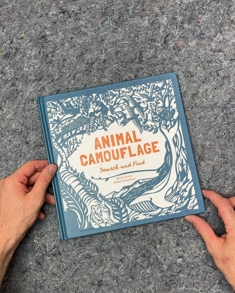 Animal Camouflage Search and Find by Sarah Dennis and Sam Kalda-Hansen