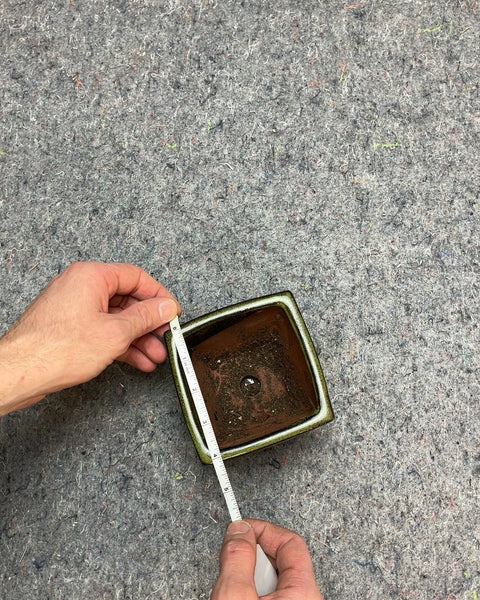 Green Glazed Ceramic Bonsai Pot, 4x4"