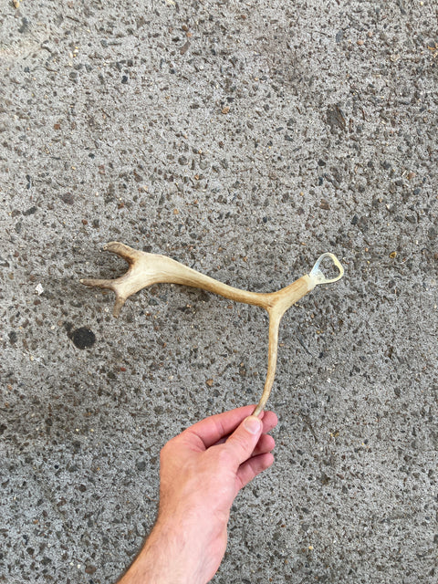 Deer Antler Bottle Opener