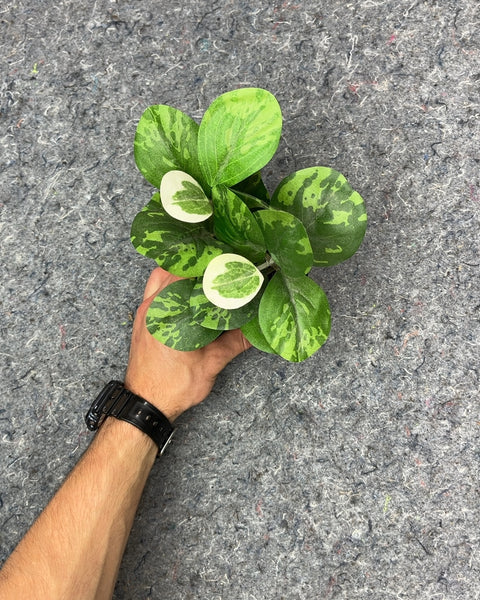 Small Faux Potted Plant