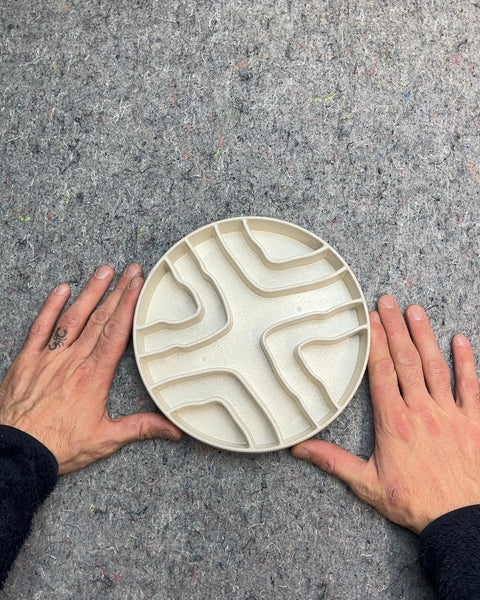 Slow Feeder Dog Bowl